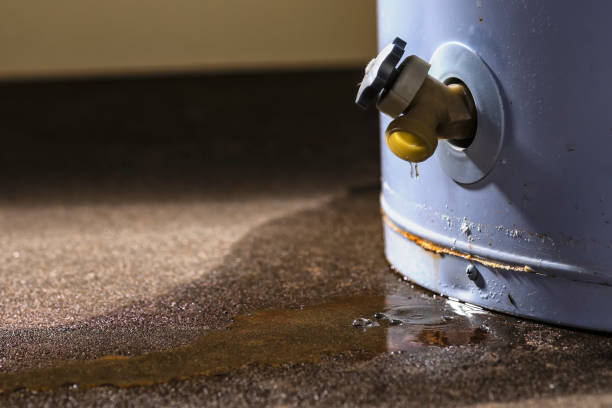 Best Fire Damage Restoration  in Country Club Hls, IL