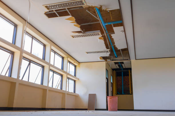 Best Professional water damage repair  in Country Club Hls, IL