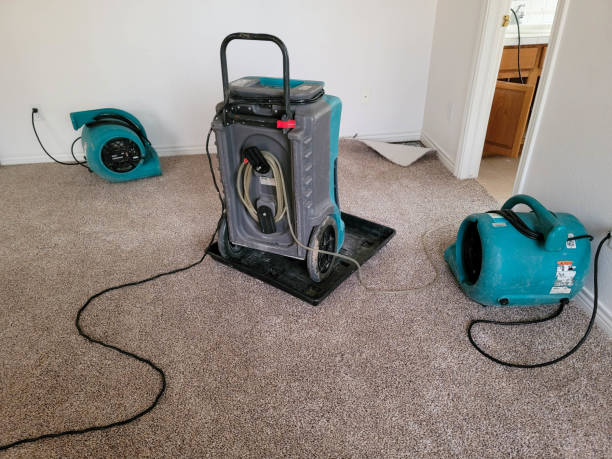 Best Water damage cleanup near me  in Country Club Hls, IL