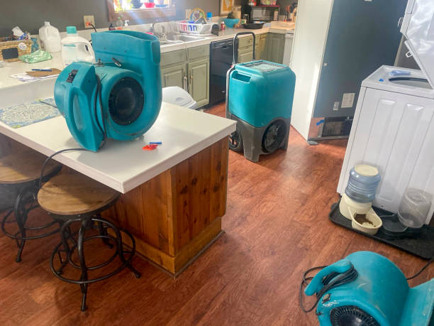 Best Emergency water damage restoration  in Country Club Hls, IL