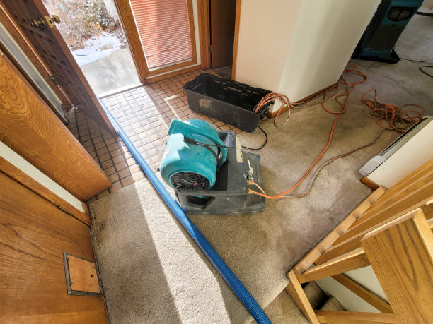 Best Carpet water damage restoration  in Country Club Hls, IL