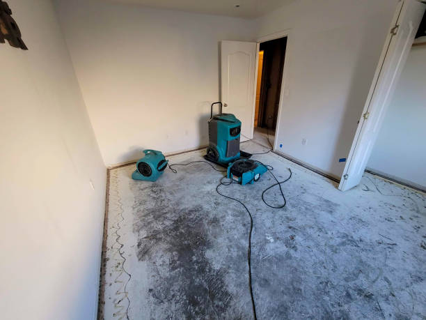 Best Ceiling water damage repair  in Country Club Hls, IL