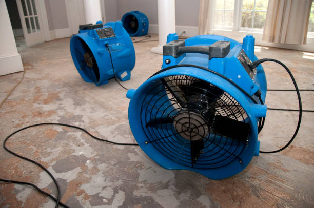Best 24-hour water damage restoration  in Country Club Hls, IL