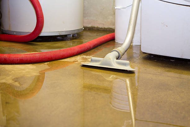 Best Flood restoration services  in Country Club Hls, IL