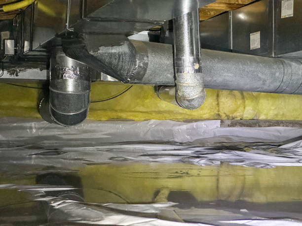 Best Flood restoration services  in Country Club Hls, IL
