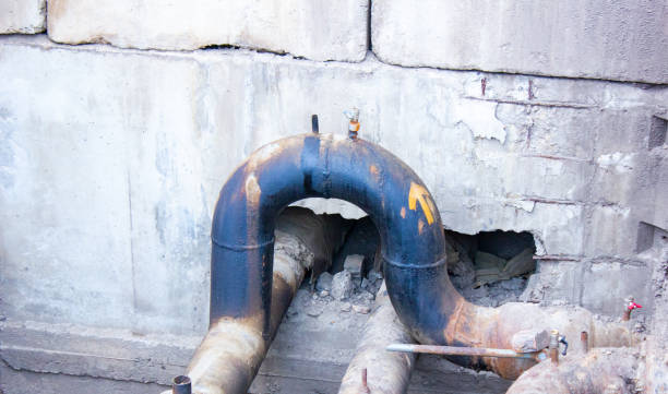 Best Flooded house restoration  in Country Club Hls, IL