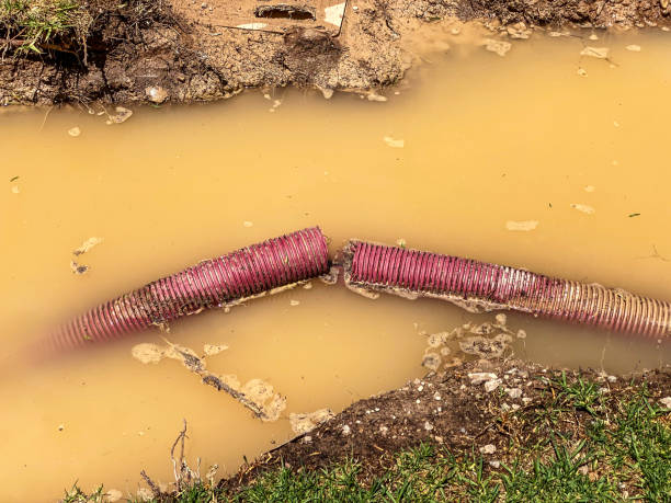 Best Water damage restoration near me  in Country Club Hls, IL