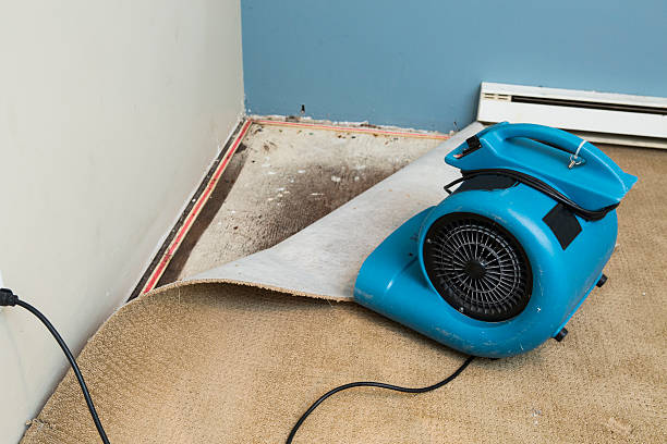 Trusted Country Club Hills, IL Water damage restoration Experts